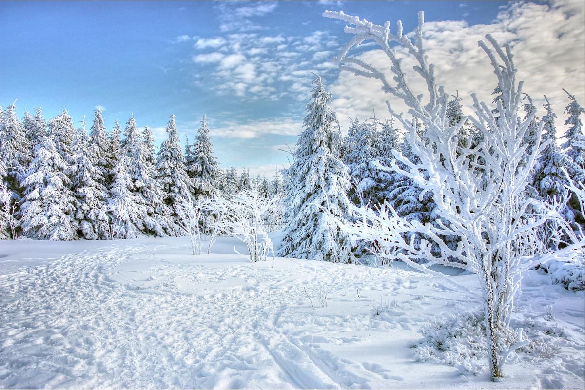 Invierno